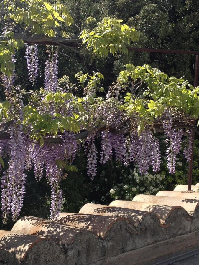 Bastide La Combe Hotell Vaison-la-Romaine Eksteriør bilde